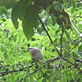 IMG_0608 IMG_0608