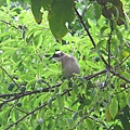 IMG_0609 IMG_0609