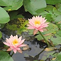 IMG_0612 IMG_0612