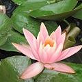 IMG_0613 IMG_0613