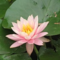 IMG_0614 IMG_0614