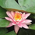 IMG_0615 IMG_0615