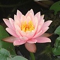 IMG_0616 IMG_0616