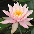IMG_0617 IMG_0617