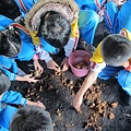 IMG_0629 IMG_0629