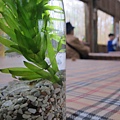IMG_0643 IMG_0643