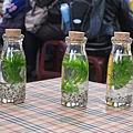 IMG_0644 IMG_0644