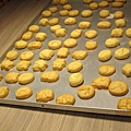 IMG_0448 IMG_0448