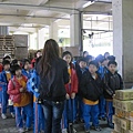 IMG_0339 IMG_0339