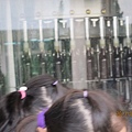 IMG_0343 IMG_0343