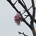 IMG_0379 IMG_0379