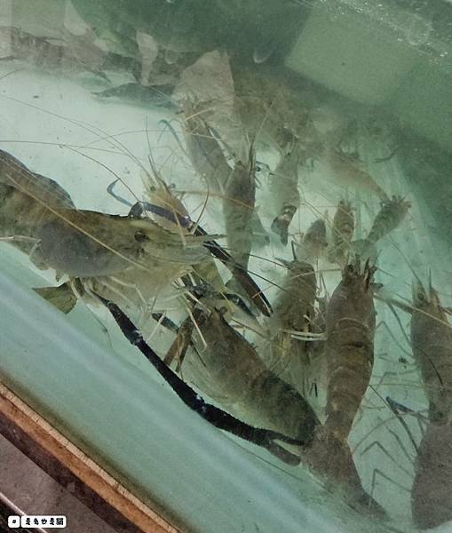 新北泰山集鮮城水產餐廳,中午開店擁有超大空間,有KTV包廂可 新北泰山集鮮城水產餐廳,中午開店擁有超大空間,有KTV包廂可