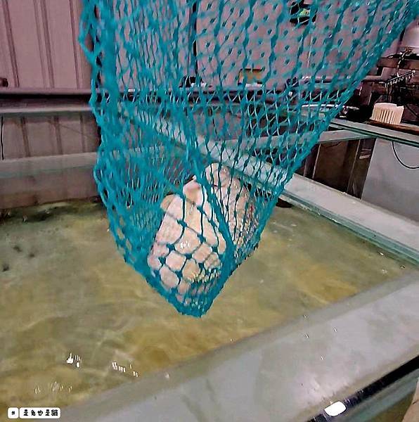 新北泰山集鮮城水產餐廳,中午開店擁有超大空間,有KTV包廂可 新北泰山集鮮城水產餐廳,中午開店擁有超大空間,有KTV包廂可