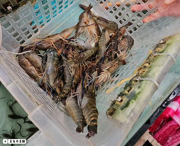 新北泰山集鮮城水產餐廳,中午開店擁有超大空間,有KTV包廂可 新北泰山集鮮城水產餐廳,中午開店擁有超大空間,有KTV包廂可