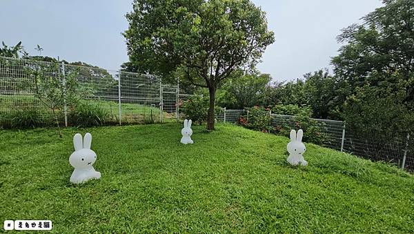 台中隱密在藍色公路旁一星級岩燒料理嵐會館,親子、寵物友善!一 台中隱密在藍色公路旁一星級岩燒料理嵐會館,親子、寵物友善!一