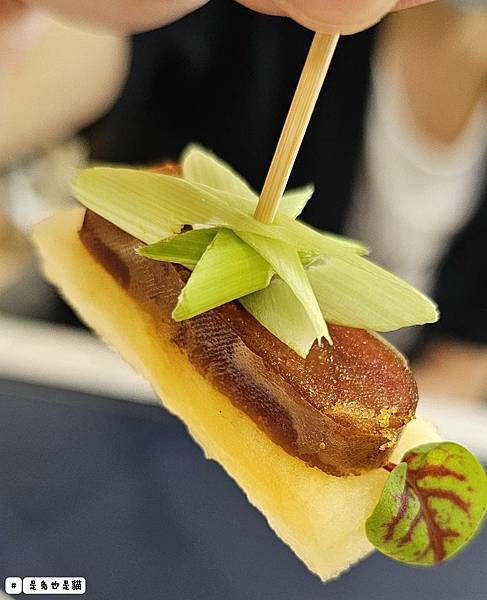 台中隱密在藍色公路旁一星級岩燒料理嵐會館,親子、寵物友善!一 台中隱密在藍色公路旁一星級岩燒料理嵐會館,親子、寵物友善!一