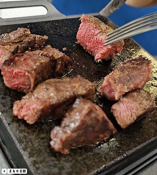 台中隱密在藍色公路旁一星級岩燒料理嵐會館,親子、寵物友善!一 台中隱密在藍色公路旁一星級岩燒料理嵐會館,親子、寵物友善!一