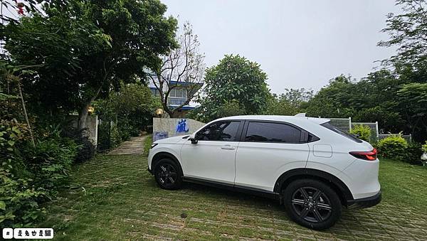 台中隱密在藍色公路旁一星級岩燒料理嵐會館,親子、寵物友善!一 台中隱密在藍色公路旁一星級岩燒料理嵐會館,親子、寵物友善!一