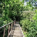 20180409_112.jpg