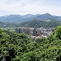 20180409_111.jpg