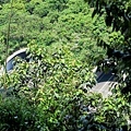 20180409_123.jpg