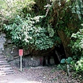 20180409_152.jpg