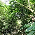 20180409_159.jpg