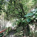 20180409_160.jpg