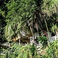 20180409_164.jpg