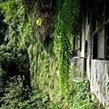 20180409_166.jpg