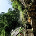 20180409_187.jpg