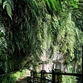 20180409_196.jpg