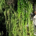 20180409_214.jpg