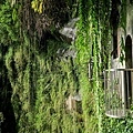 20180409_218.jpg