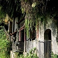 20180409_221.jpg