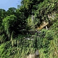 20180409_229.jpg