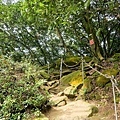 20190301 031.jpg