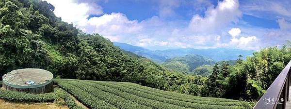 20200810_104.JPG