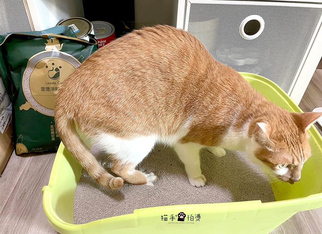 2020120_200120_0014-1.jpg 2020120_200120_0014-1.jpg