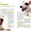 0923Animals-ok小檔5.jpg