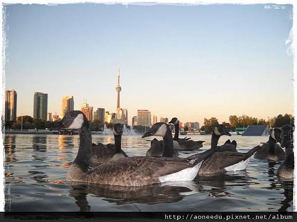 加拿大KGIC Toronto多倫多校區4.jpg