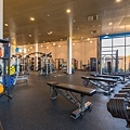 Bond Institute of Health & Sport Gym.jpg