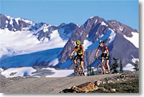 bikes_in_alpine_4047597254_o.jpg