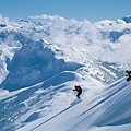 powder_skiers_4046858997_o.jpg