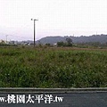 大溪內柵農地 03.jpg