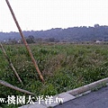 大溪內柵農地 04.jpg