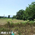 霄裡甲建+農地 02.jpg