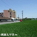 霄裡甲建+農地 03.jpg