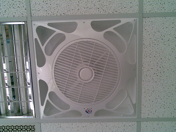 20090526(003).jpg 20090526(003).jpg