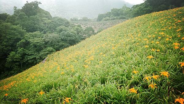 20170814赤科山～羅東夜市_170818_0239_副本.jpg